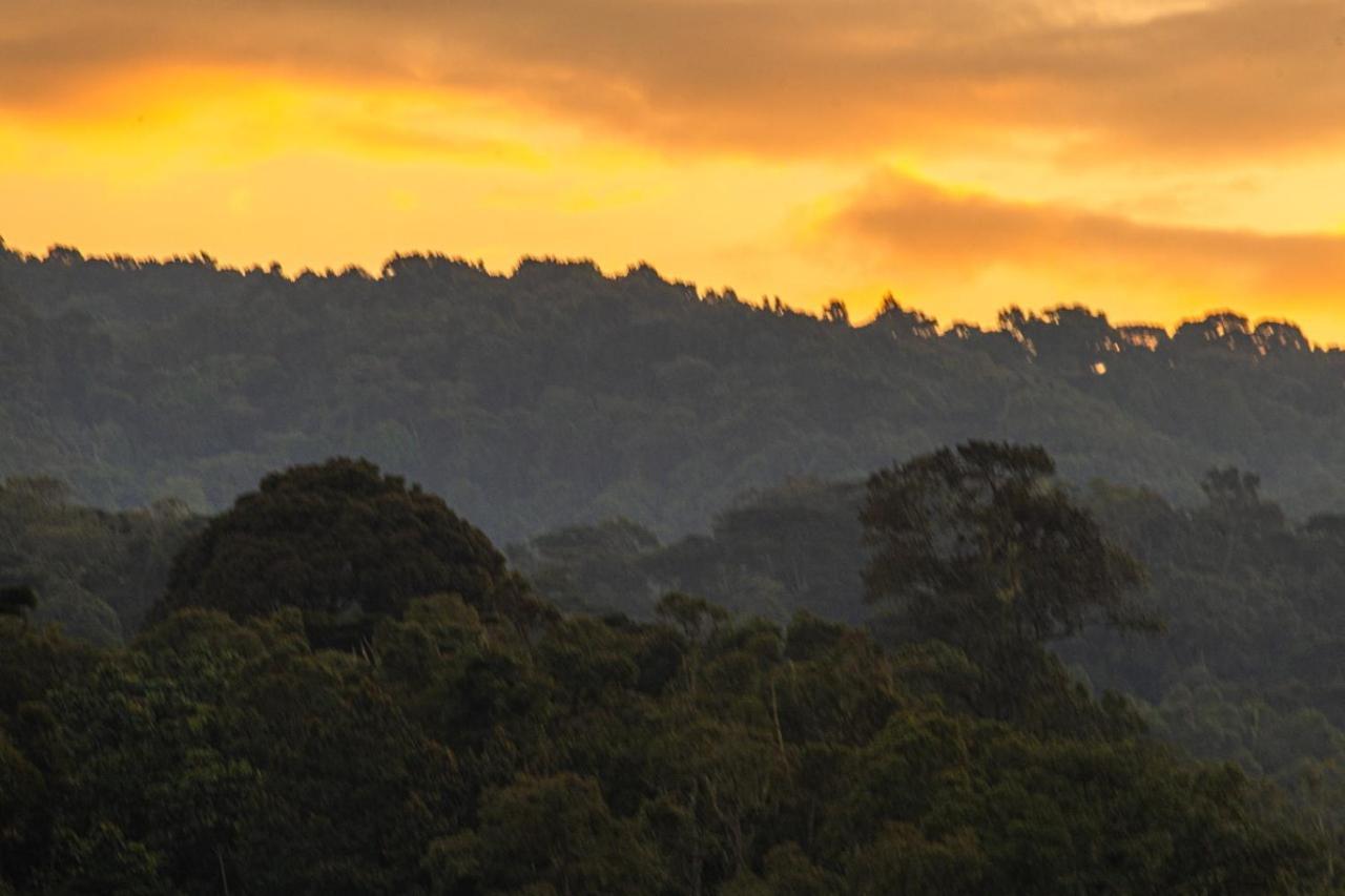 Gorilla Safari Lodge Rubuguli 외부 사진