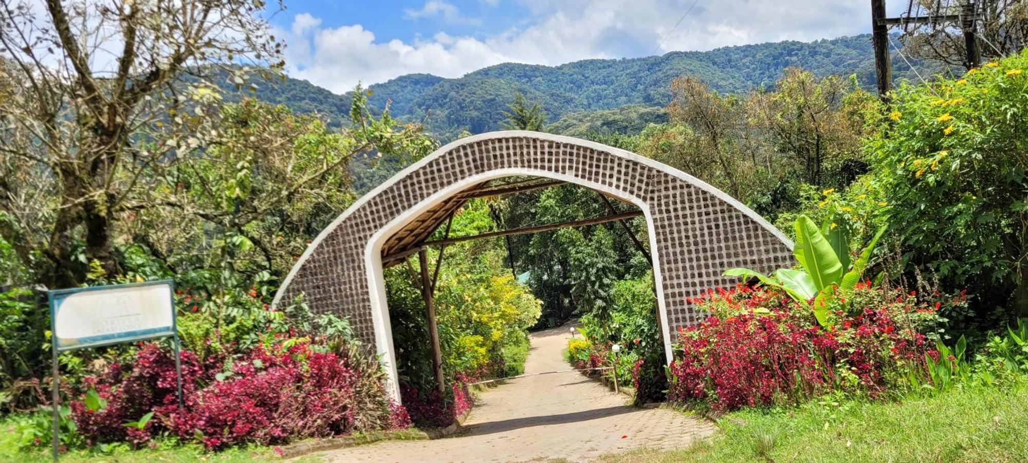 Gorilla Safari Lodge Rubuguli 외부 사진