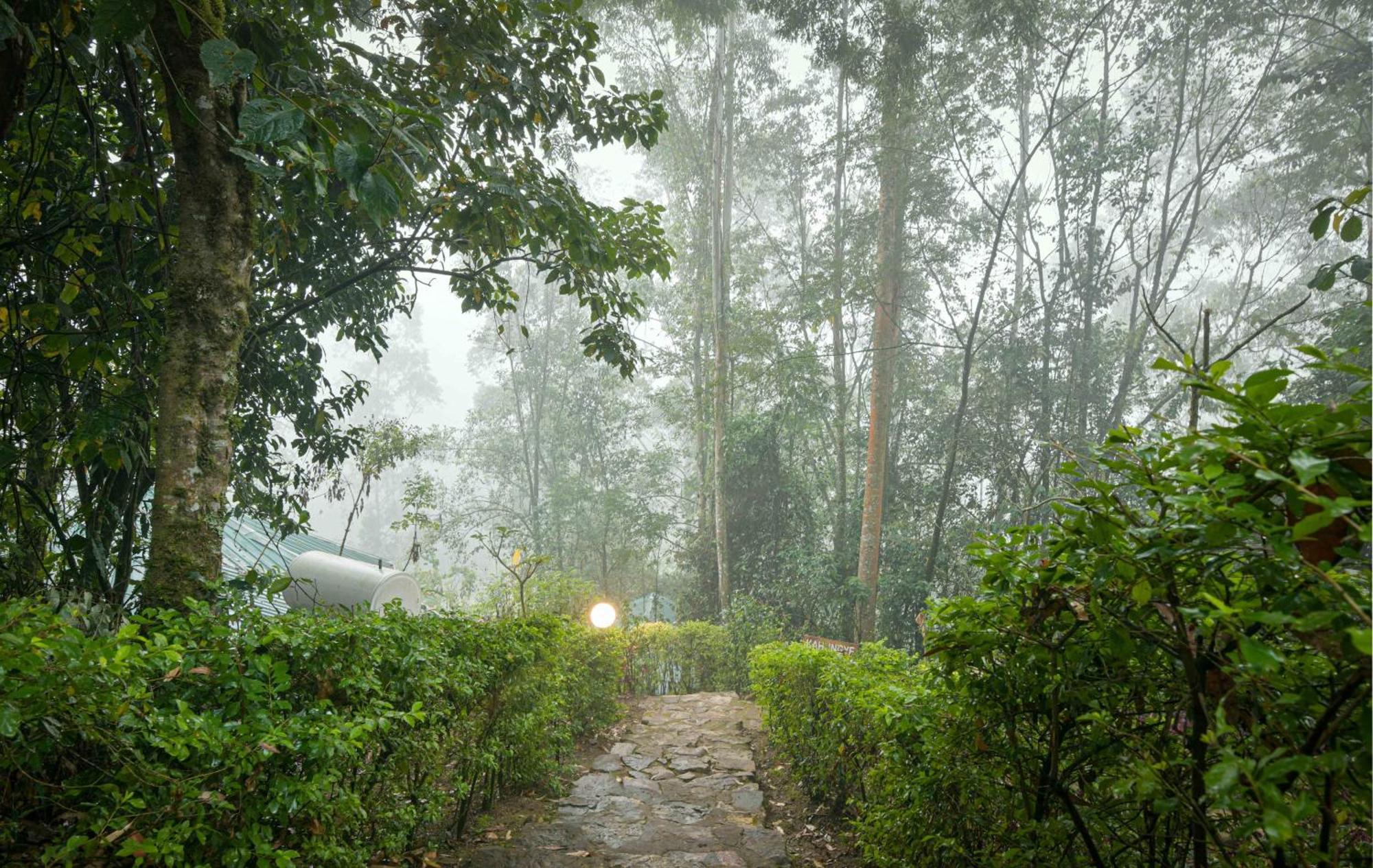 Gorilla Safari Lodge Rubuguli 외부 사진