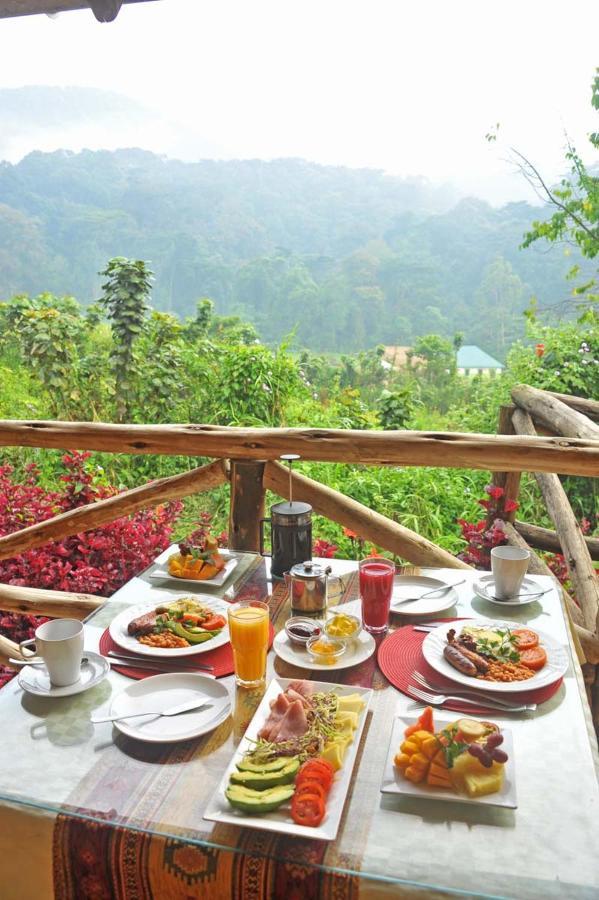 Gorilla Safari Lodge Rubuguli 외부 사진