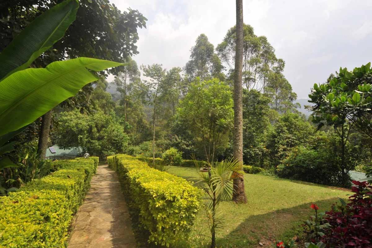 Gorilla Safari Lodge Rubuguli 외부 사진